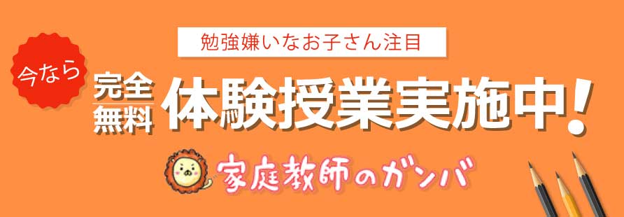 【勉強嫌いなお子さん注目】体験授業実施中家庭教師のガンバ