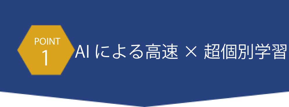 AIによる高速×超個別学習