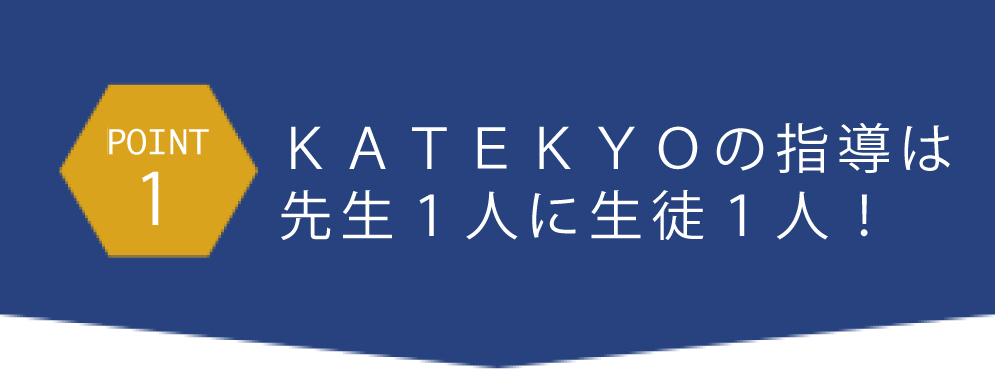 ＫＡＴＥＫＹＯの指導は先生１人に生徒１人！