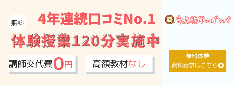 _画像